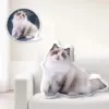 489255491529080838