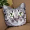 489255897466404871