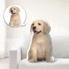 489255491529080836